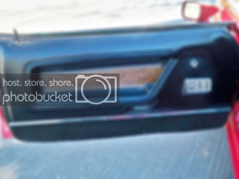 mustangdoorpanel.jpg