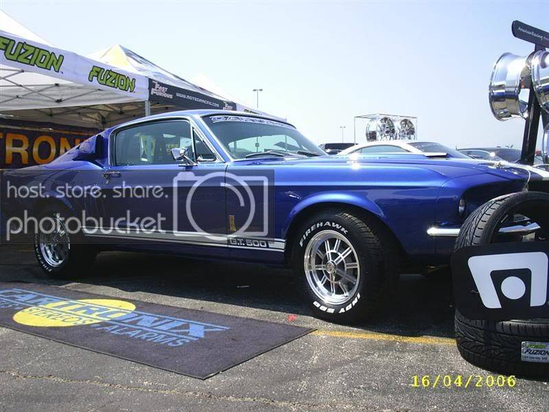 S3010022Medium.jpg