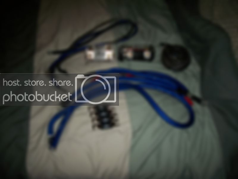 100_3954.jpg