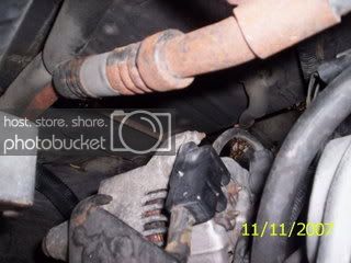 Picture048-1.jpg