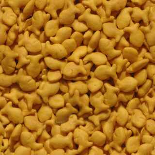 bg_goldfish_320.jpg