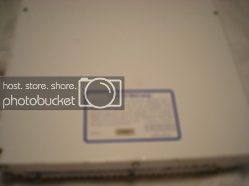 Picture156.jpg