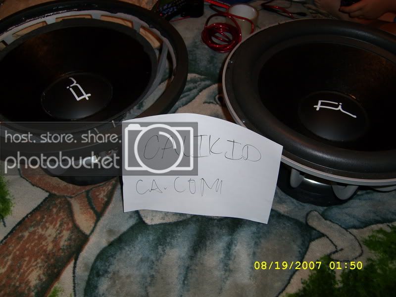 SL270192.jpg