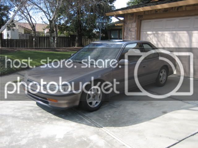 Picture029.jpg