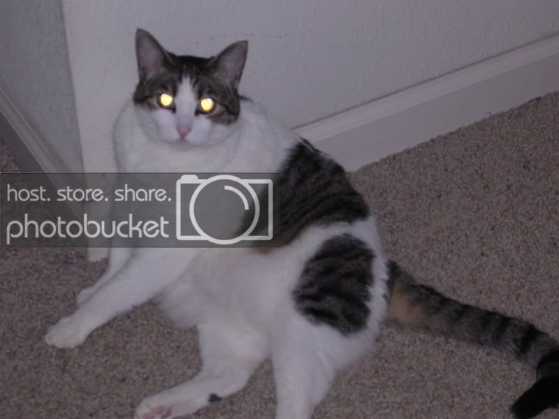 DSCN0522.jpg