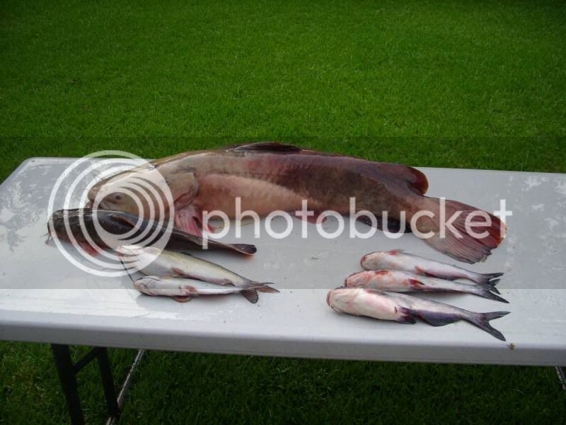 july6catch.jpg
