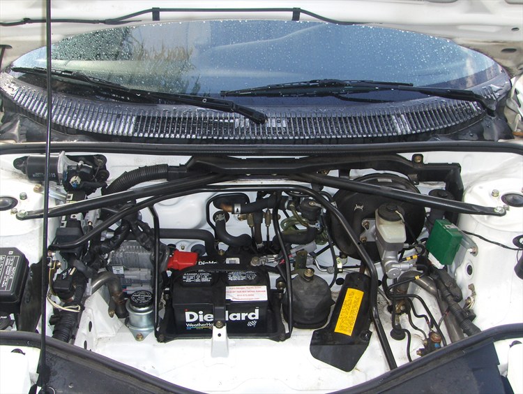 29349840010_large.jpg