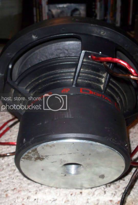 dd10bottom-Copy.jpg