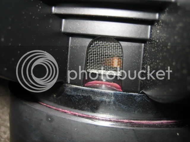 IMG_1194.jpg