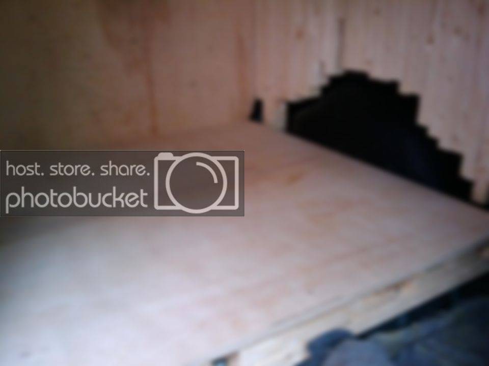2009-11-10162029.jpg