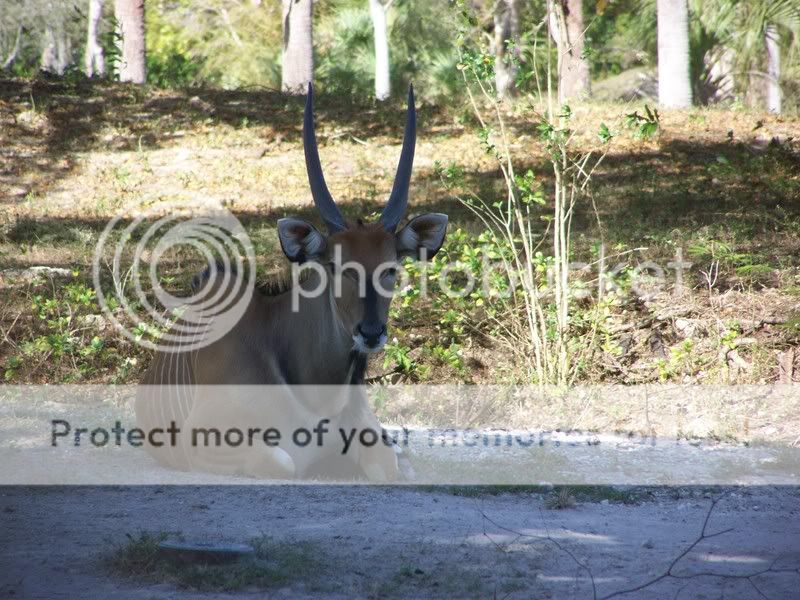 zoo049.jpg