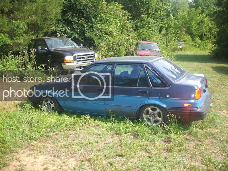 DSCF0256.jpg