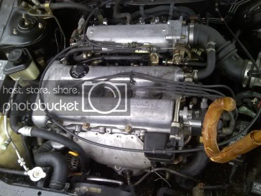 downsized_1212091225.jpg
