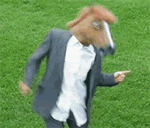 th_thHorseWTF.gif