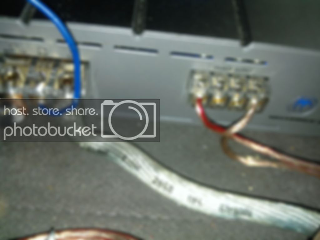 2010-08-22083539.jpg