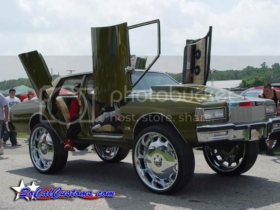 donk.jpg