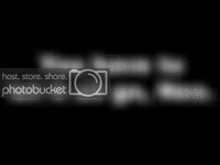 11319695086952qg.gif