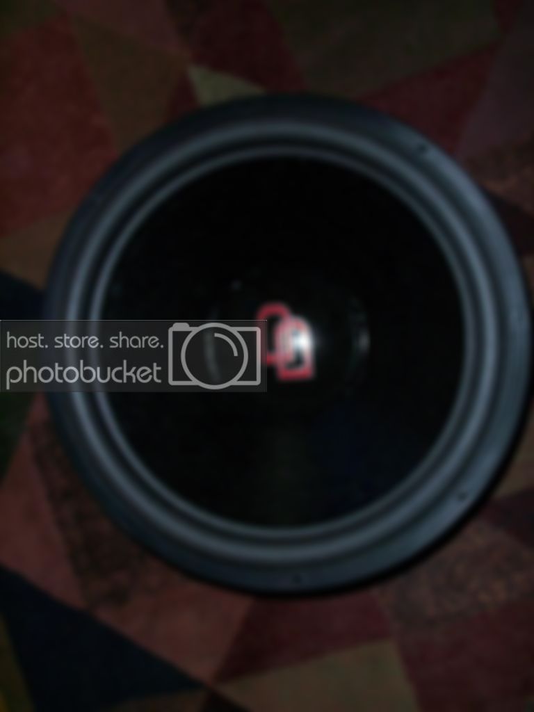 dd3518009.jpg