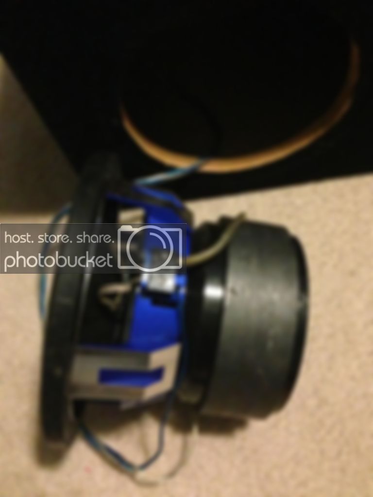 IMG953256_1.jpg