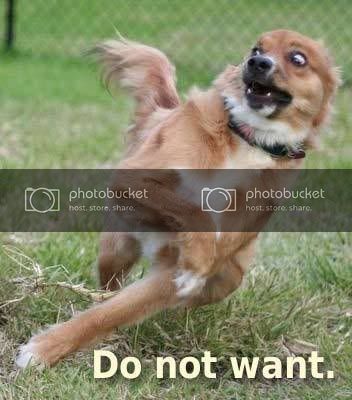 do-not-want-dog.jpg