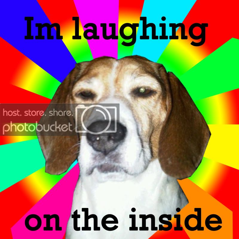 dogcopy.jpg