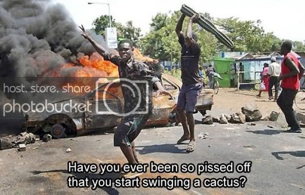 CactusSwing.jpg