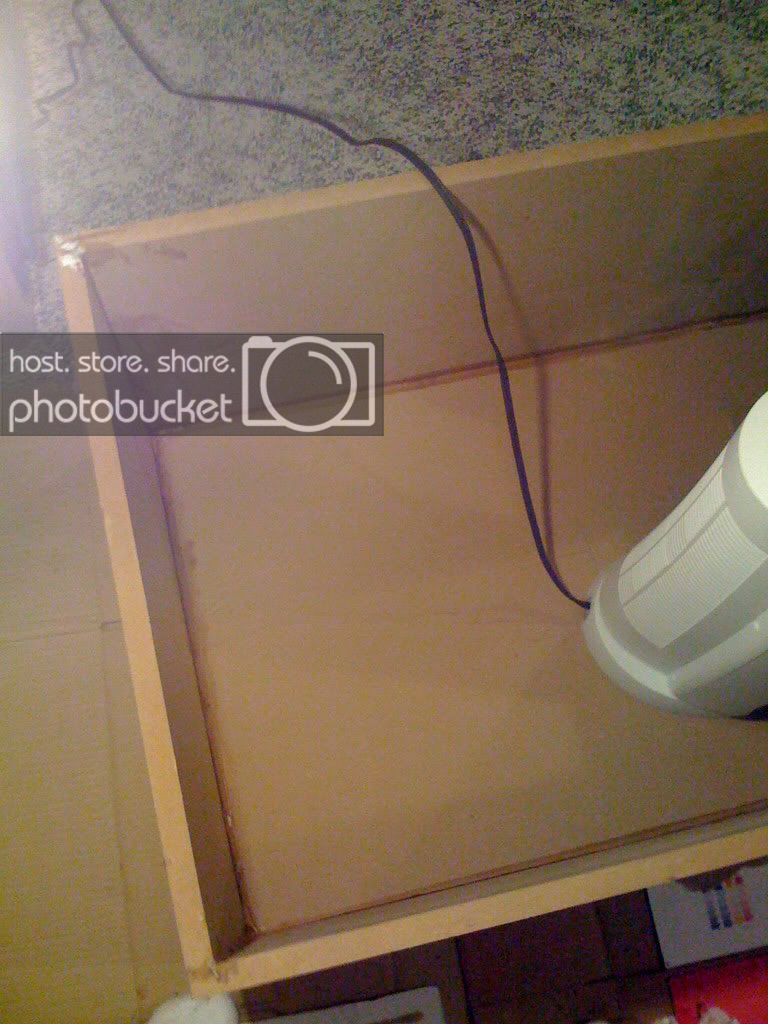 IMG_0224.jpg