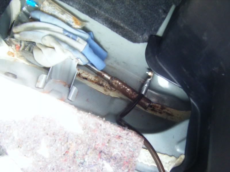 DSCF0399.jpg