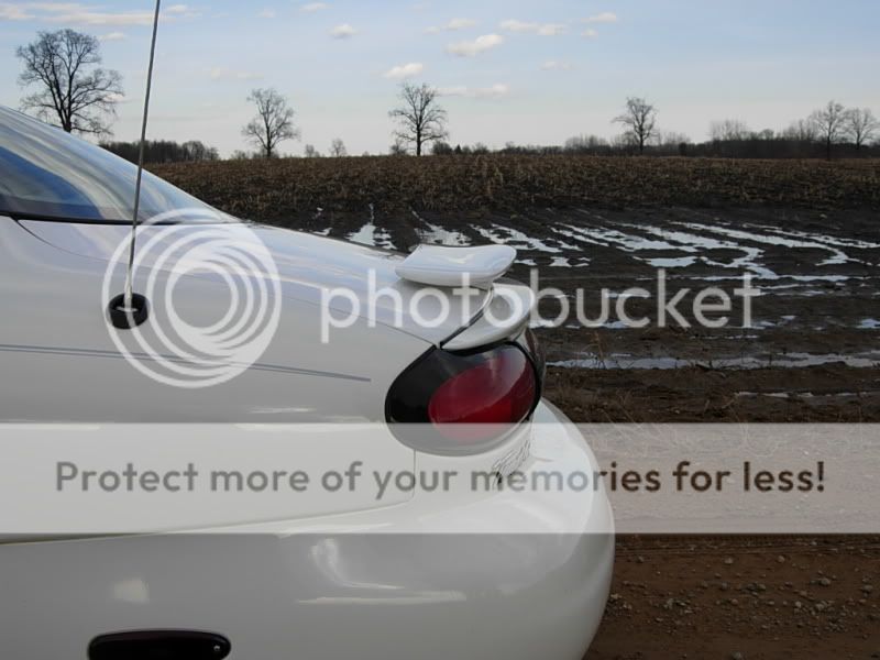 DSCN3087.jpg