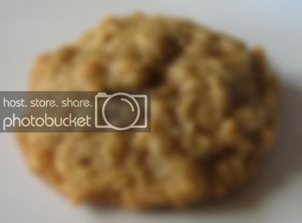 OatmealCookie1.jpg