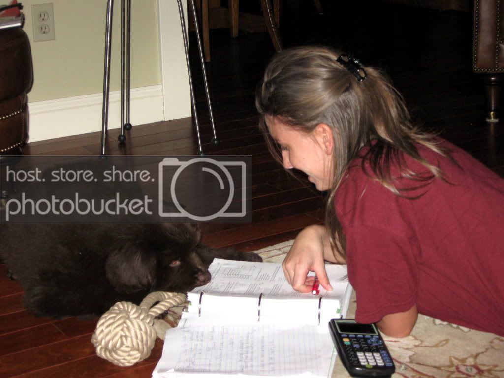 Pups_018.jpg