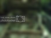 1257947265.jpg