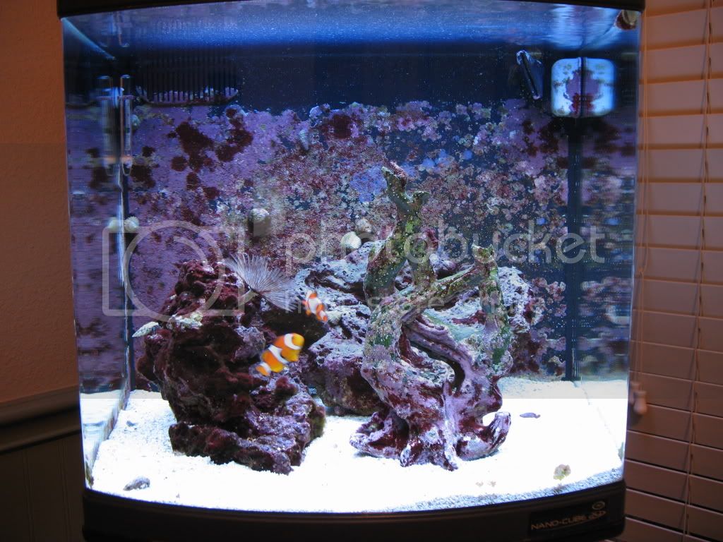 fish006.jpg