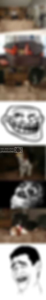 BusterMemeComic.jpg