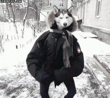 7Yt7J.gif