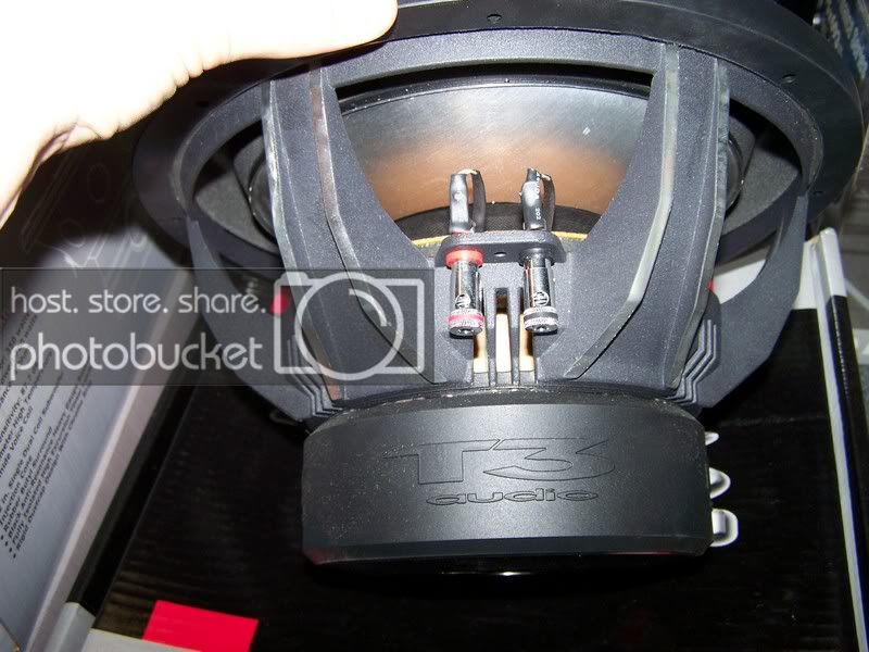 ebaystuff016.jpg