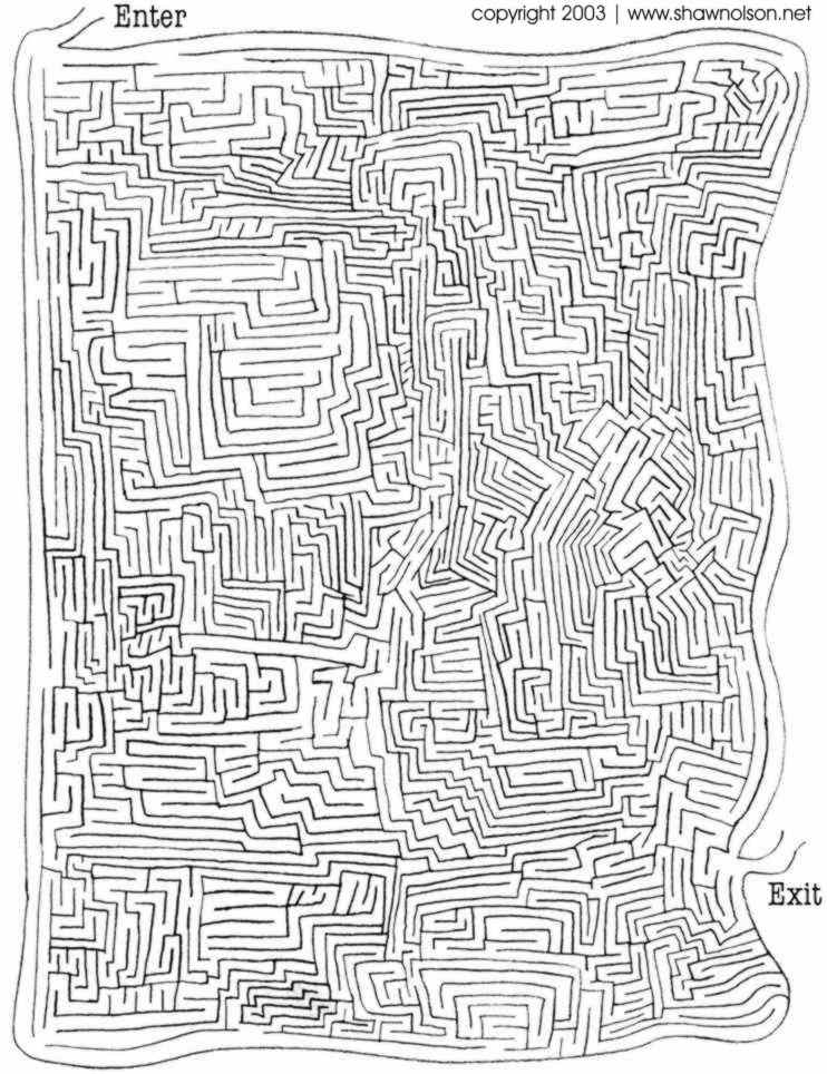 1_Shawn_maze_1.jpg
