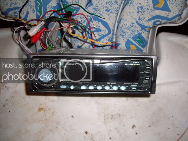 IMGP0128.jpg