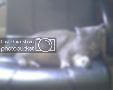 IMG00096.jpg