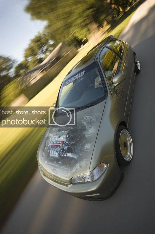 hatch5.jpg