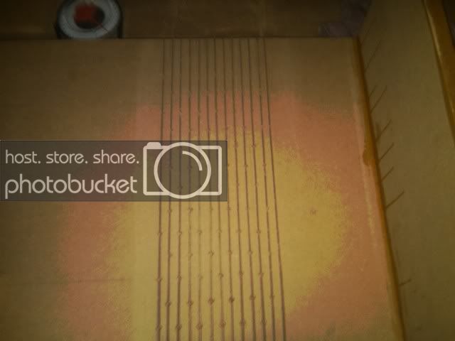 IMG00334-20100814-1946.jpg
