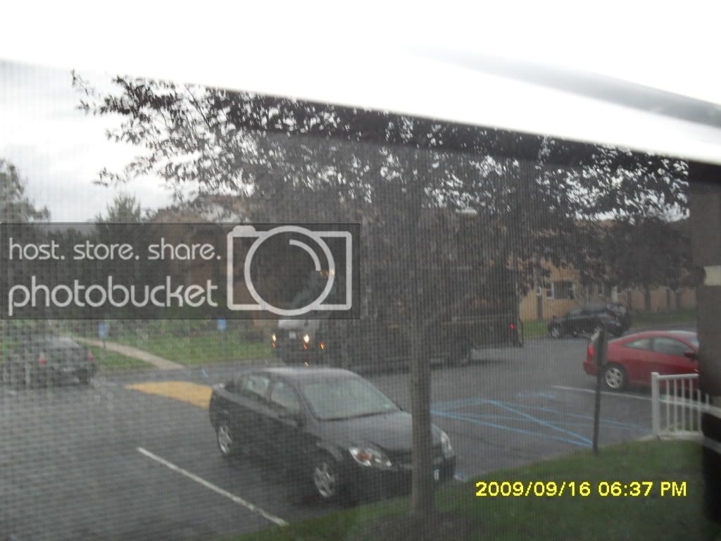 SDC10218.jpg