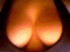 avatar876_1.gif