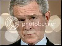 bushhmm.jpg