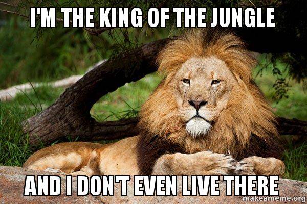 im-the-king-mftap7.jpg