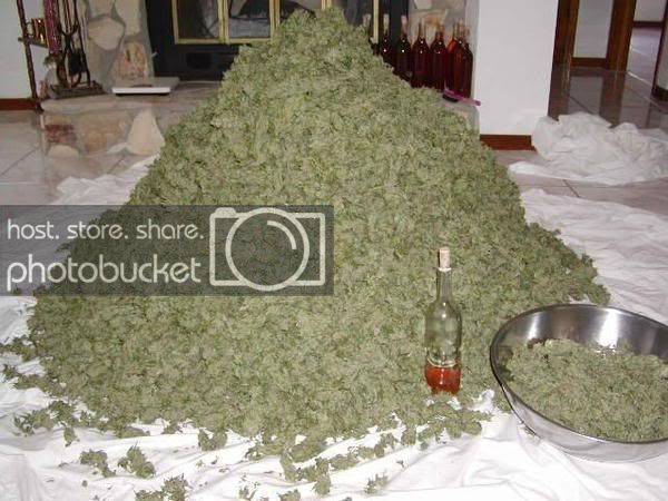 weed-2.jpg