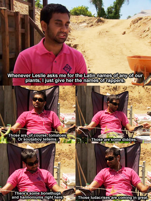 tumblr_ln49dpWSSl1qzado8o1_500.jpg