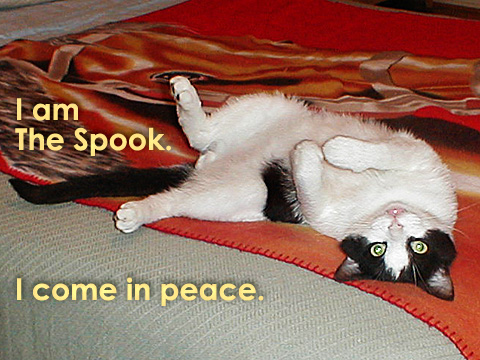 iamthespook.jpg