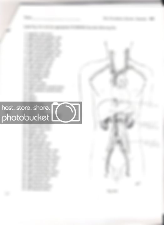 ScannedImage-2.jpg