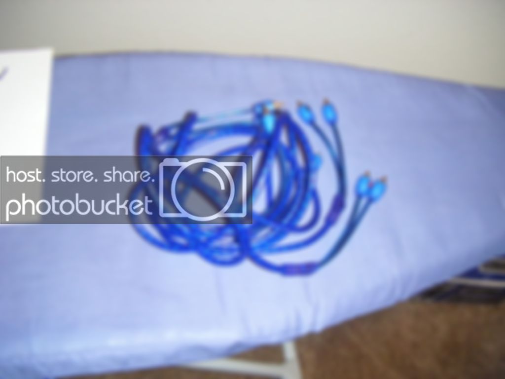 newpics014.jpg